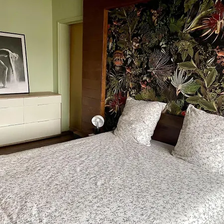 Spacieux Et Son Rooftop Riedisheim