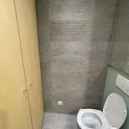 Spacieux Et Son Rooftop Apartamento Riedisheim