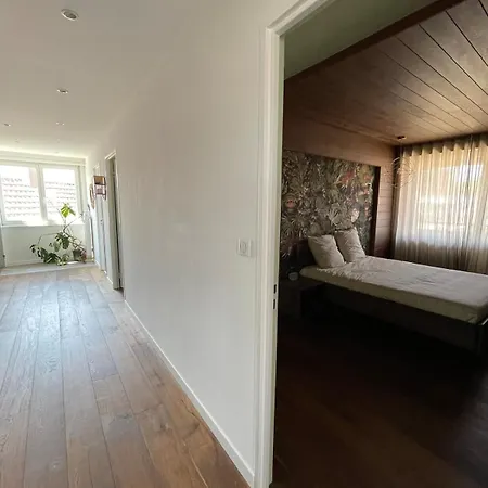 Spacieux Et Son Rooftop