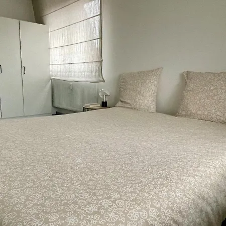 Spacieux Et Son Rooftop Riedisheim