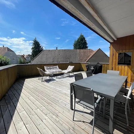 Апартаменты Spacieux Et Son Rooftop Riedisheim