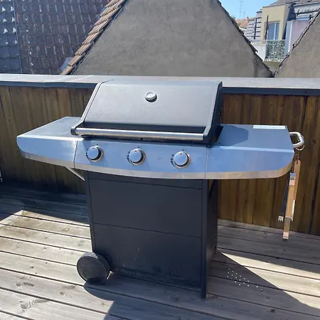 Spacieux Et Son Rooftop Riedisheim