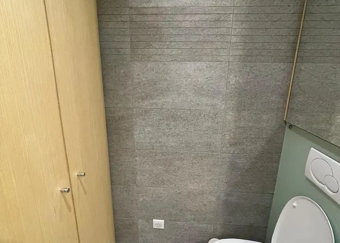 Spacieux Et Son Rooftop דירה Riedisheim