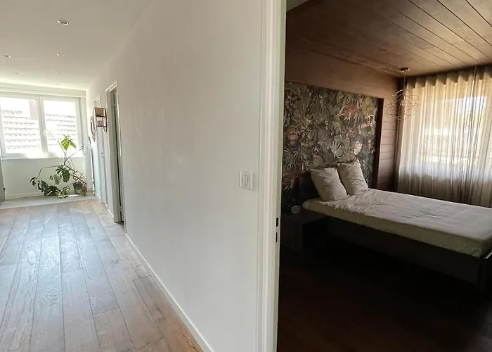 Spacieux Et Son Rooftop