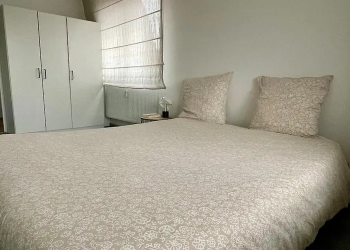 Spacieux Et Son Rooftop Riedisheim