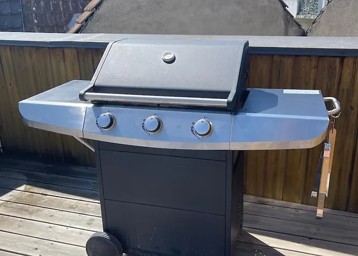 Spacieux Et Son Rooftop Riedisheim